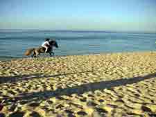 Tunisia-Tunisia-Sidi Bou Said Trail